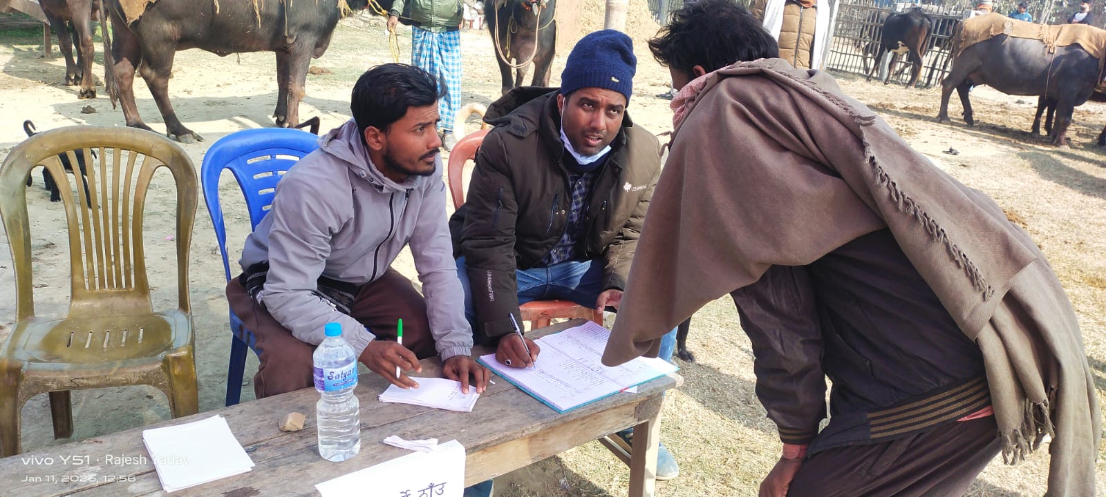 पशु स्वास्थ्य शिविर